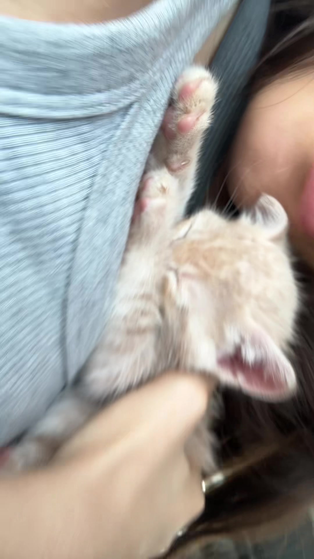 @ari
