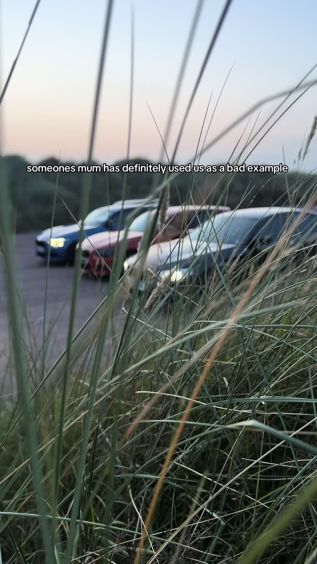 @Cali Cruisers