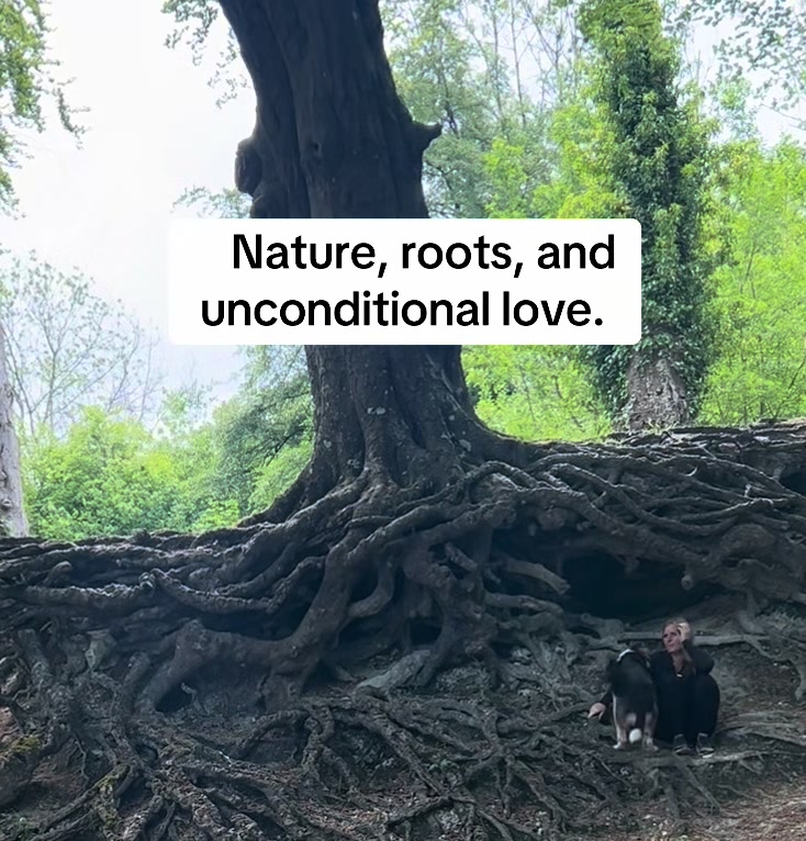 @healingheartsholistics
