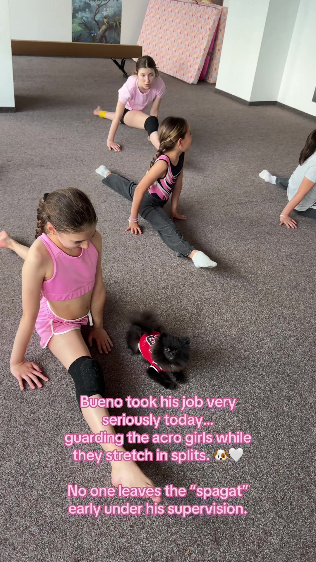 @the_studio_academy