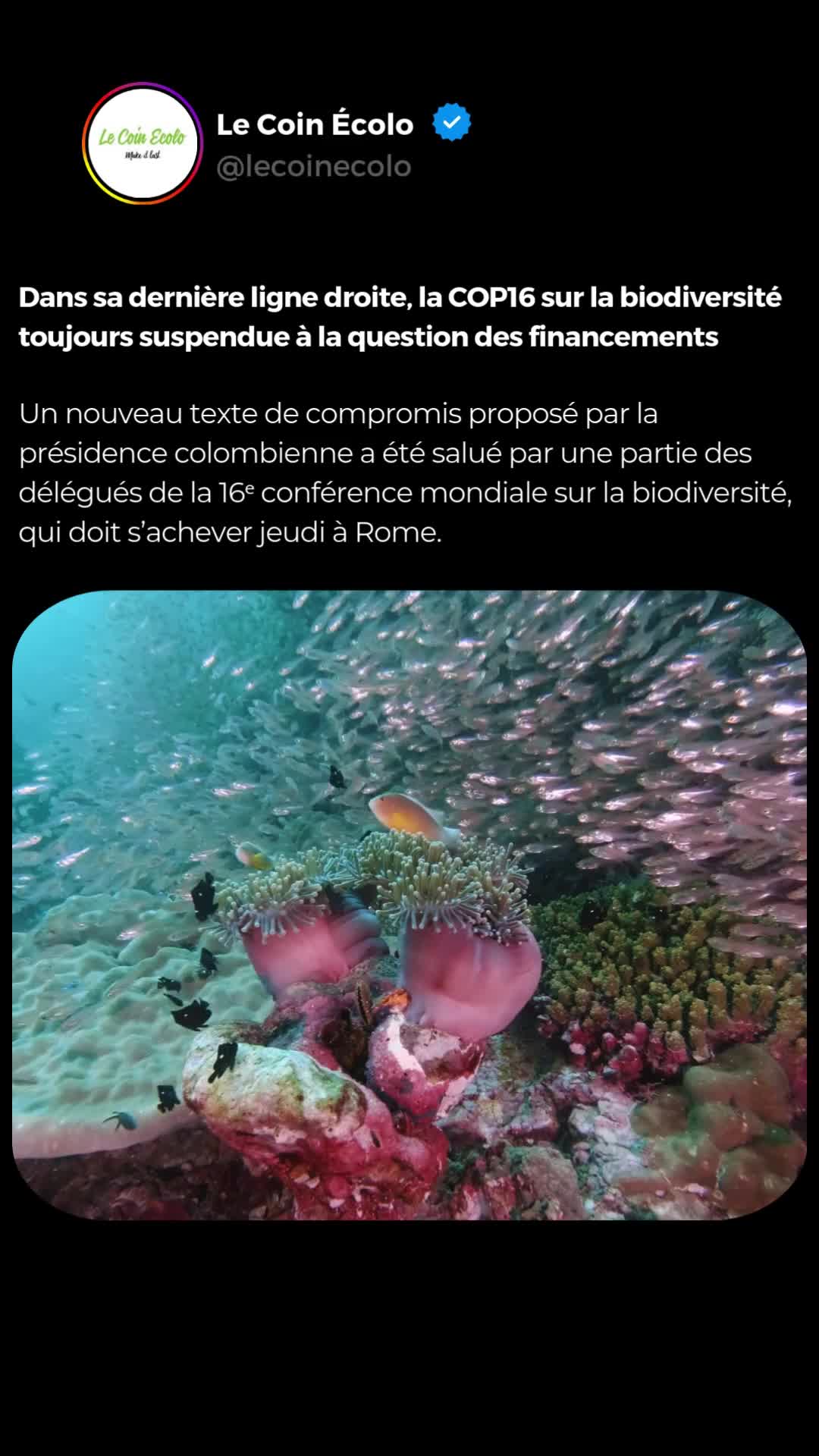 @Le Coin &Eacute;colo
