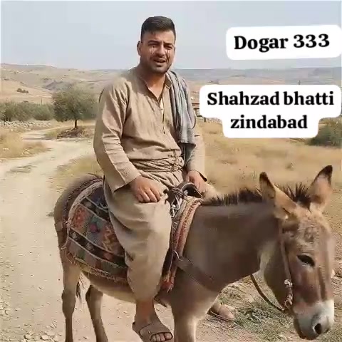 @S B EDITOR 333