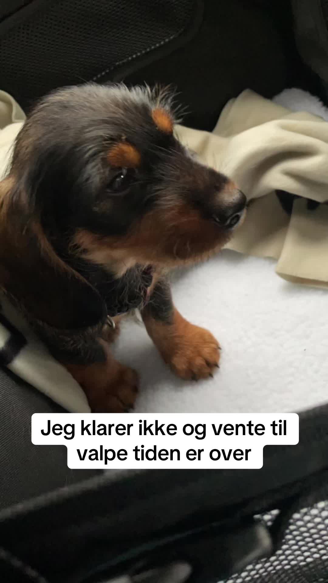@Annsirennorway