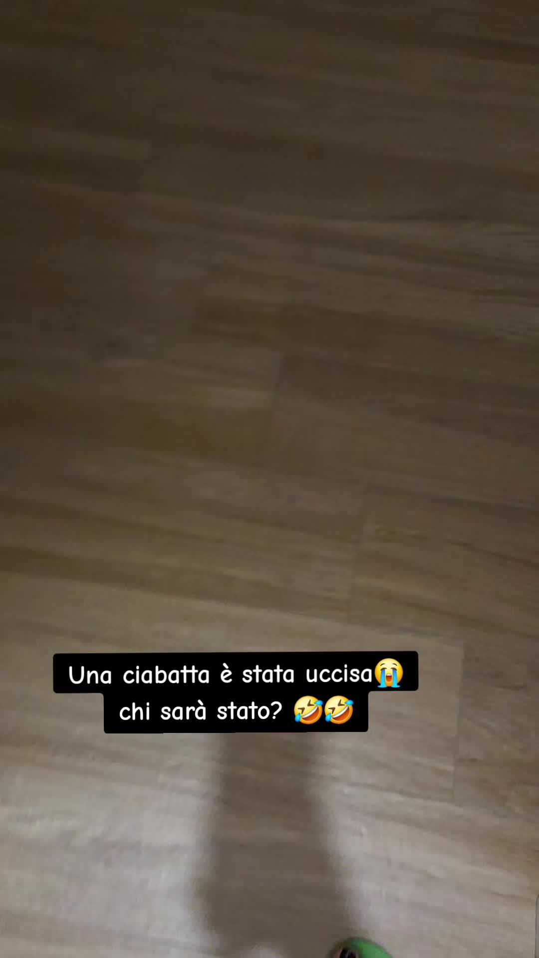 @Elia Rosa