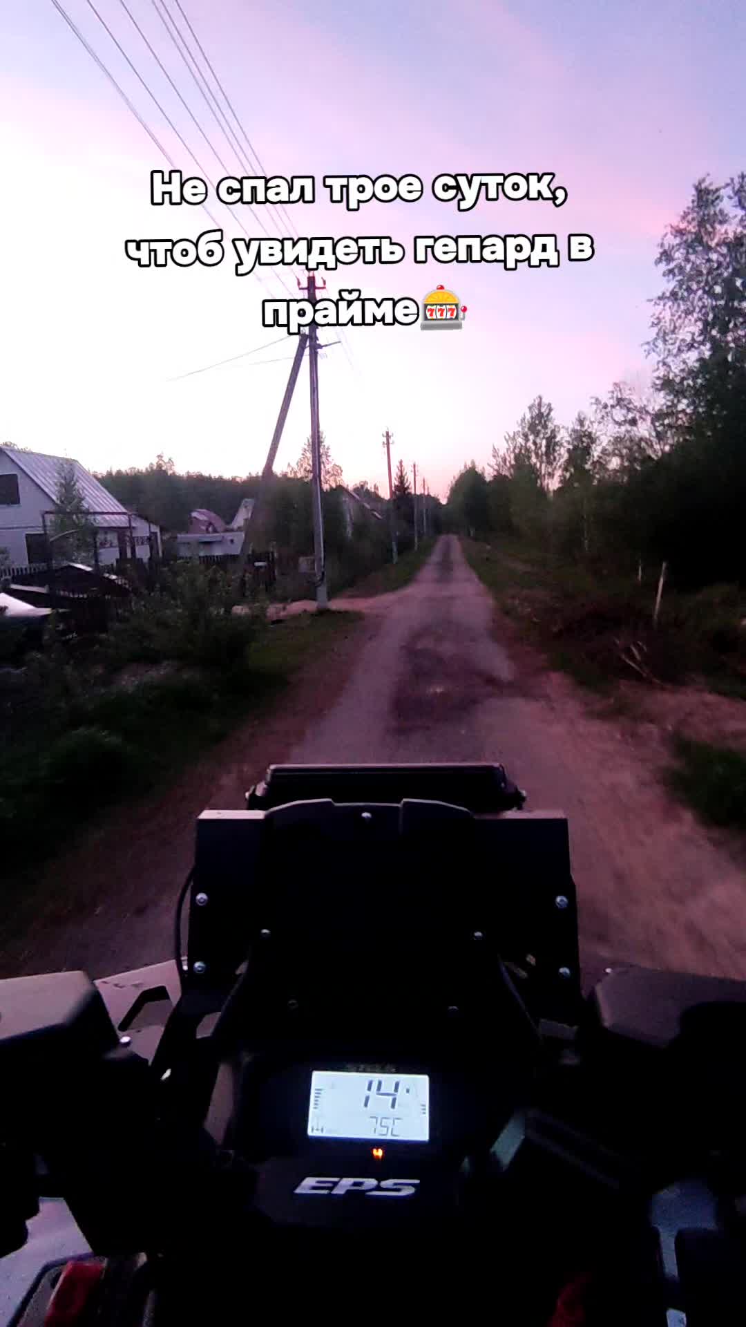 @Николай Гепардович
