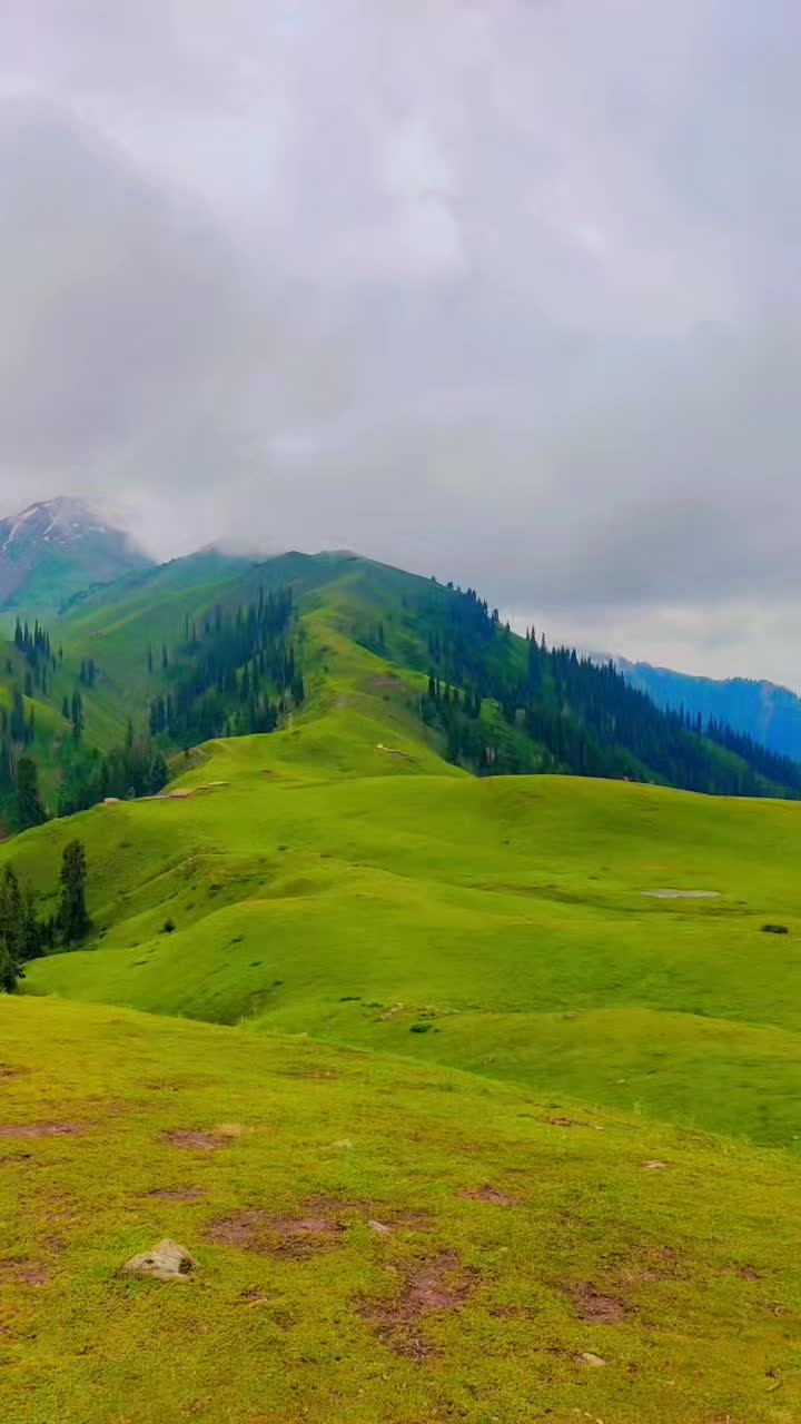 @Munawar Hussain Joyia
