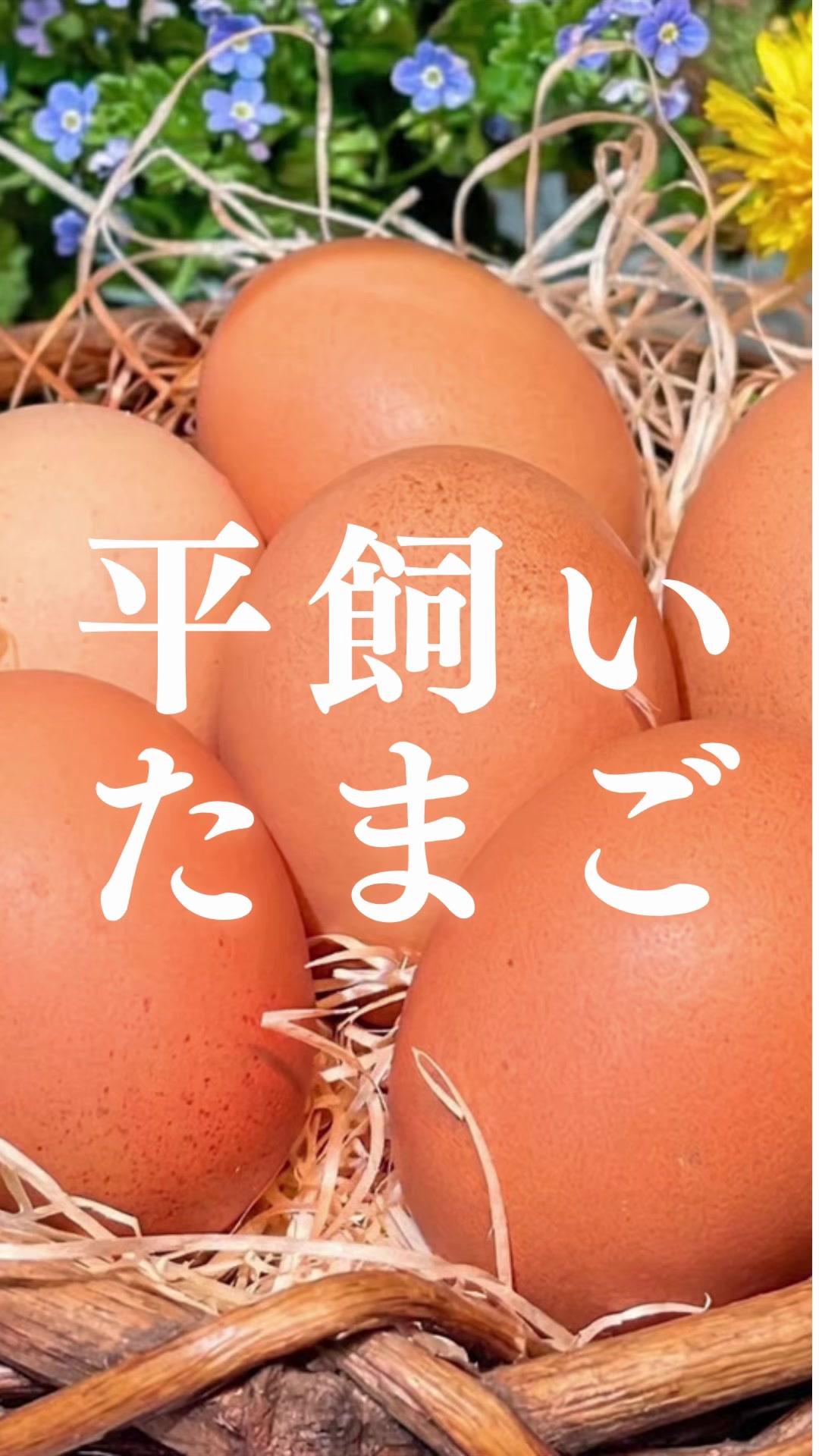 @ますな屋 @発酵食をあなたのご家庭に
