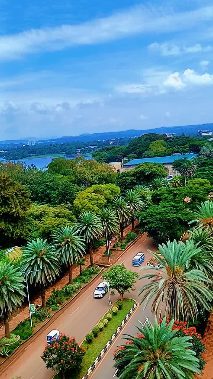 @ባህር ዳር Walker💪