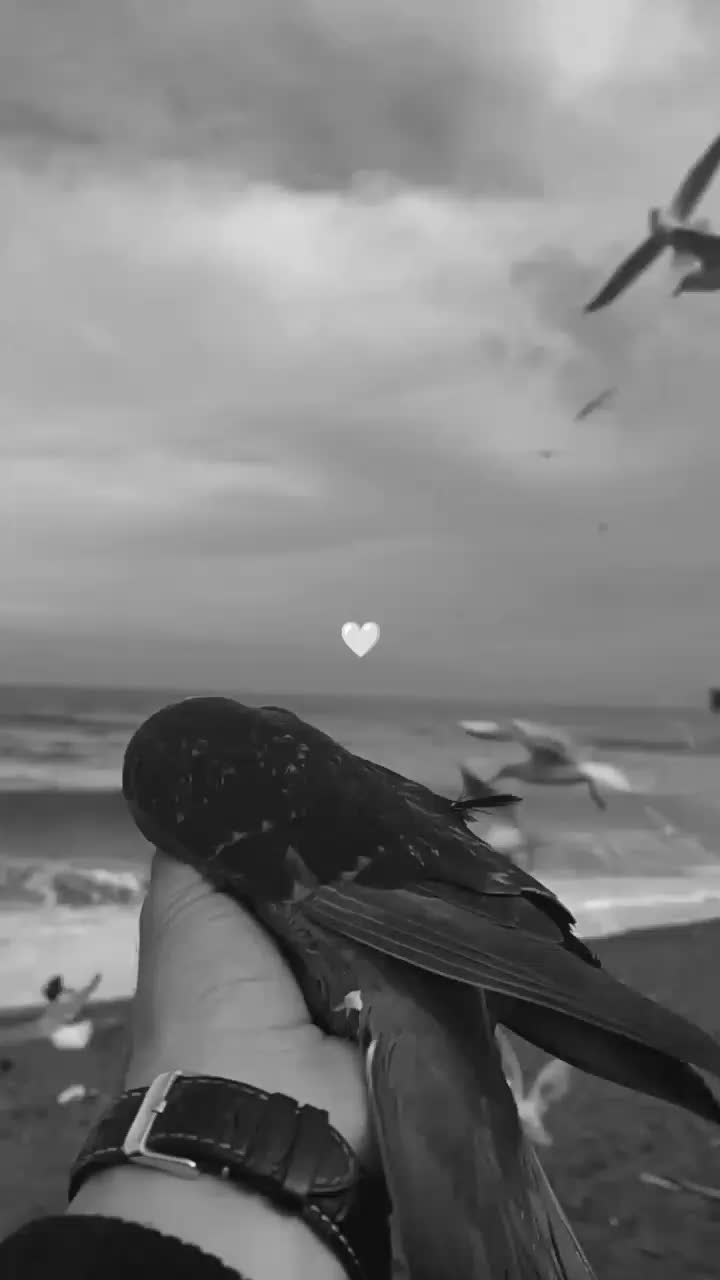 @🎀:مـزاجـᬼ🎀⑅⃝ـᬼــيـة🎀