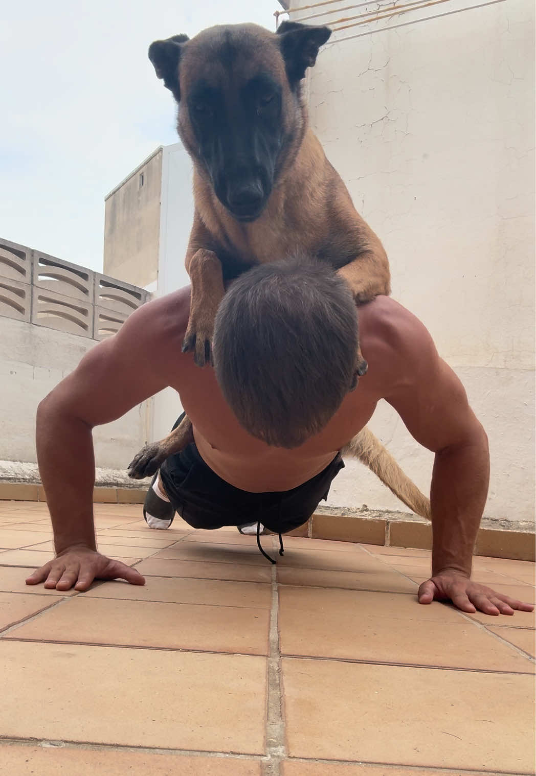@Lobalobita