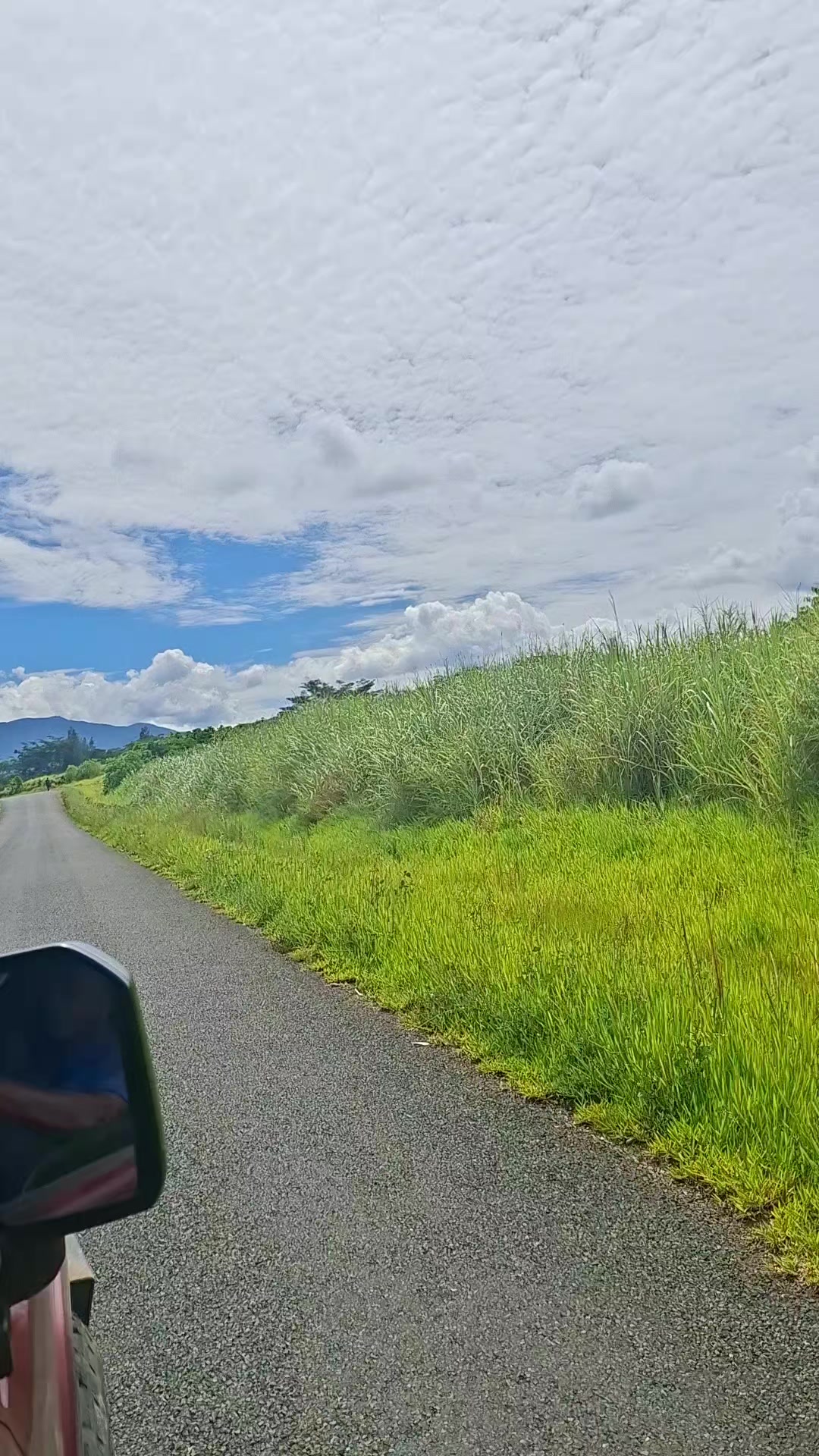 @Kali Mara