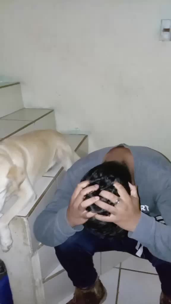 @AL3X