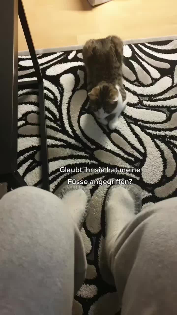 @Minnoş❤💙61