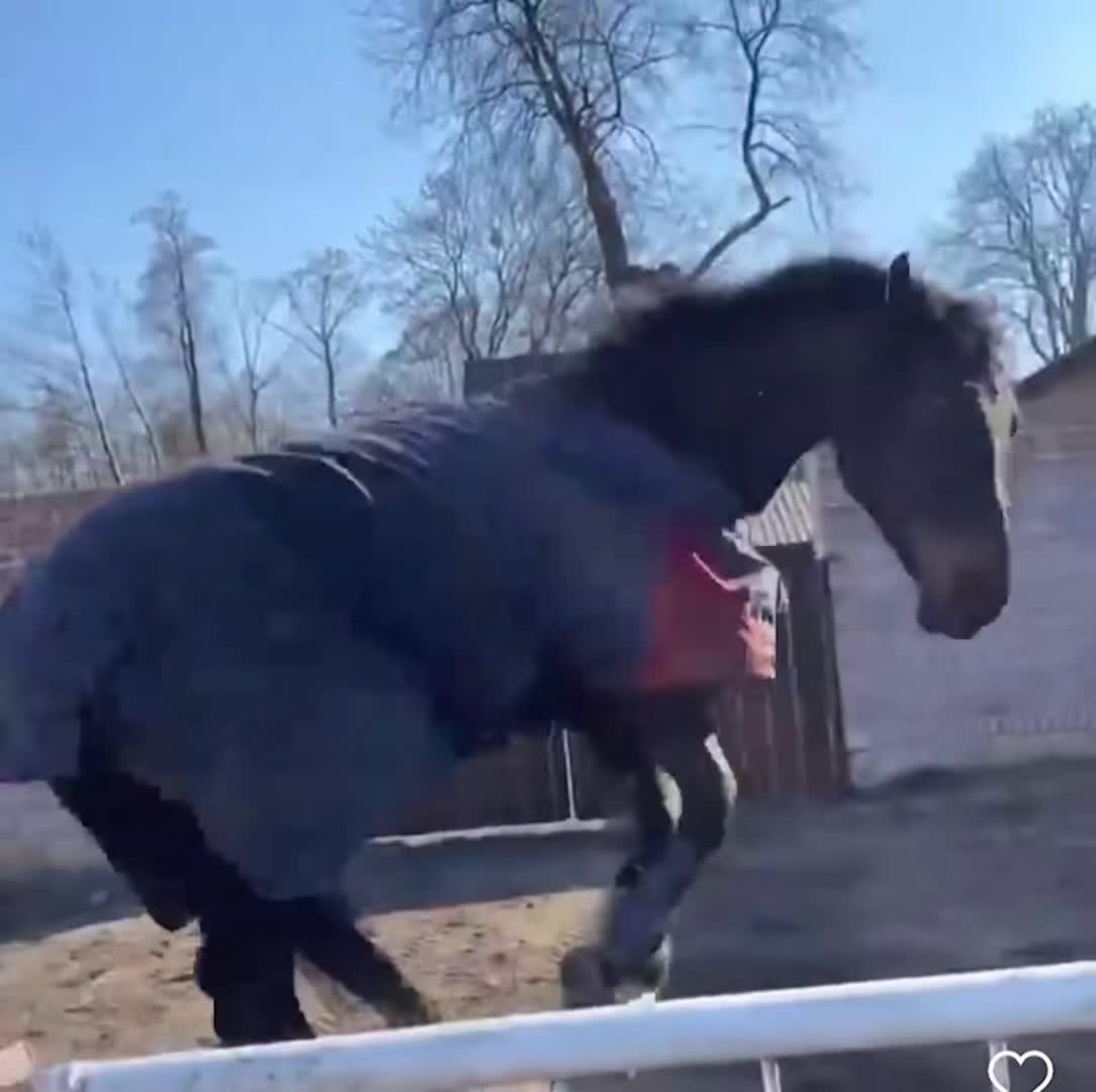 @maja ćwik