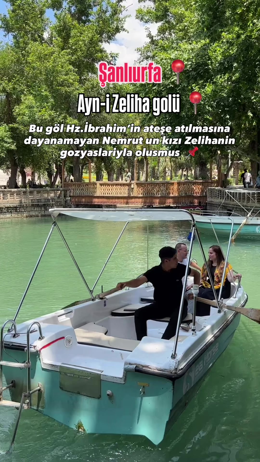 @arzu_homee