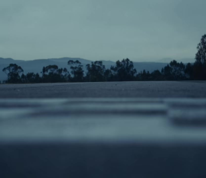 @martinwhite