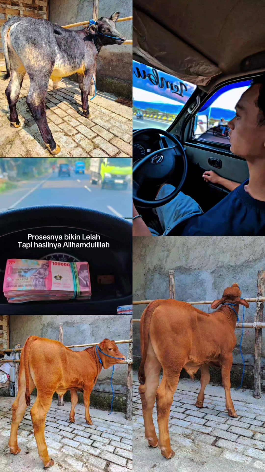 @SARJANA LEMBU☆