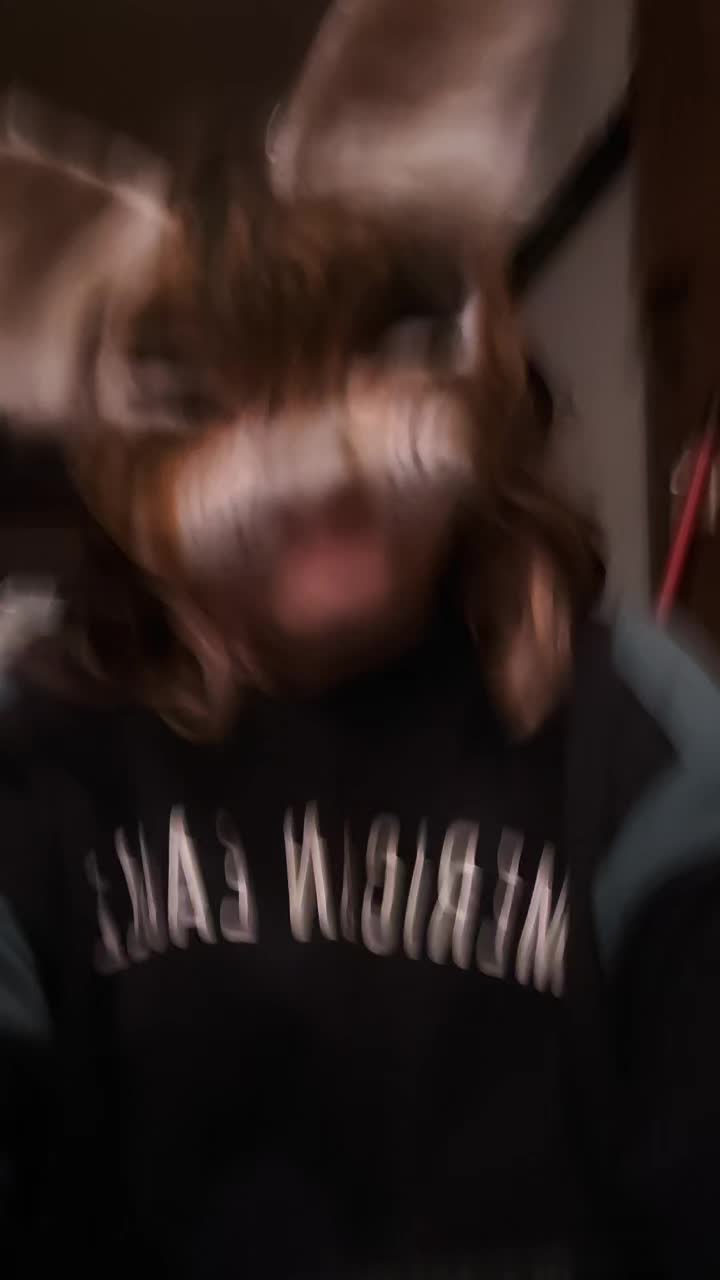 @🐾🍀𝚝𝚊𝚏𝚏𝚢_𝚘𝚗_𝚙𝚊𝚠𝚣🍀