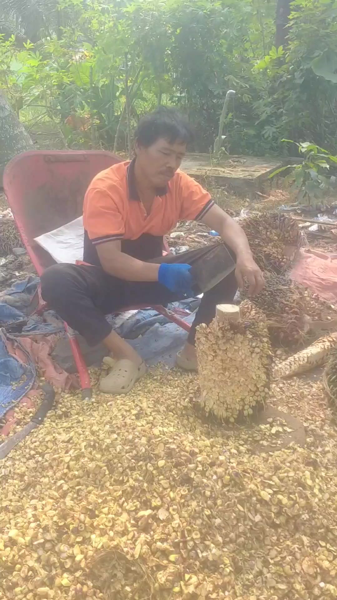 @mamicynta br tompul