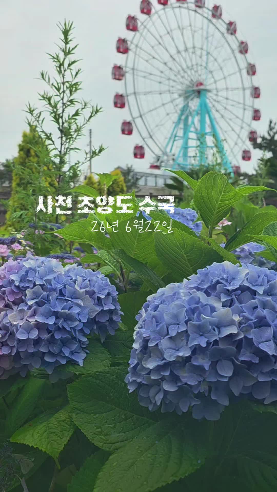 @ON로드 여행기