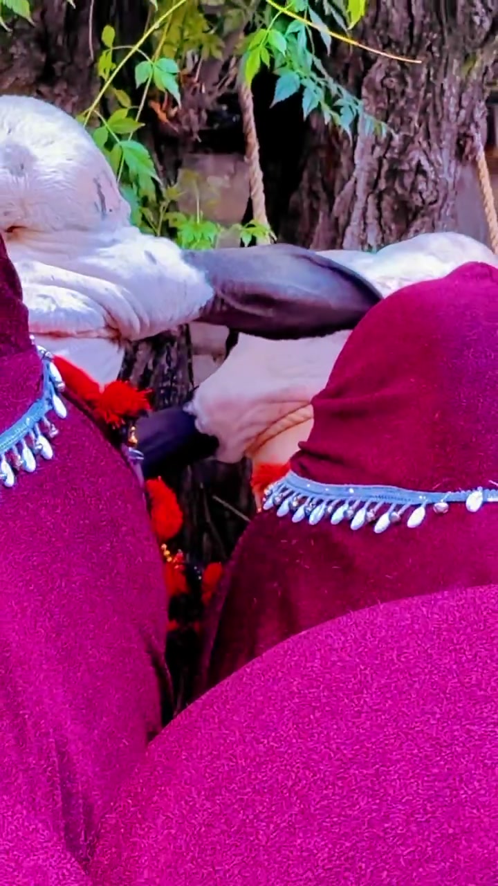 @Ahtsham Butt