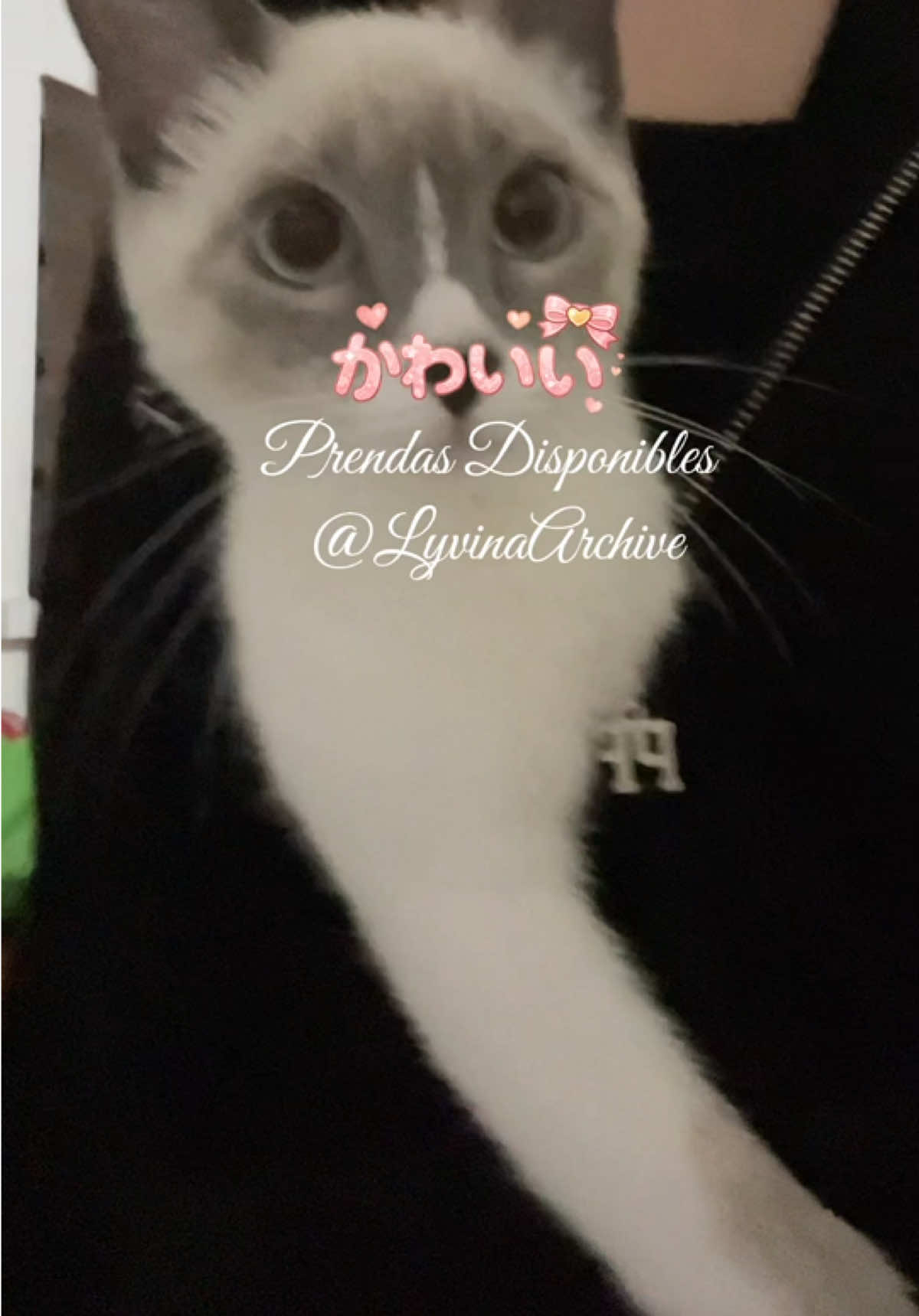 @LyvinaArchive