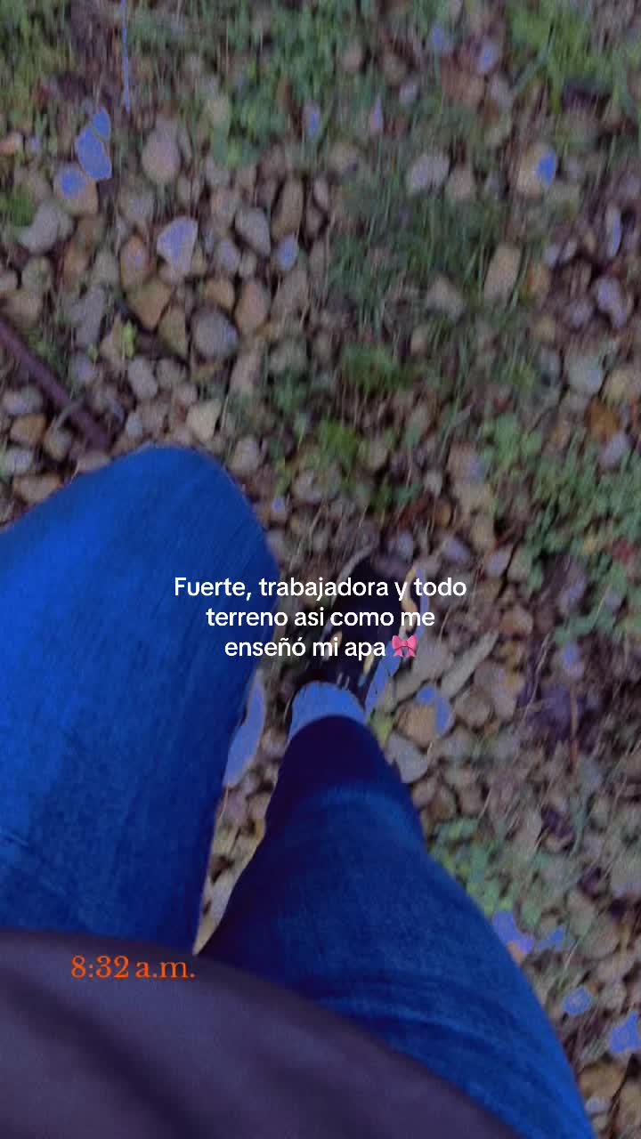 @Breisy 🦋 ✨