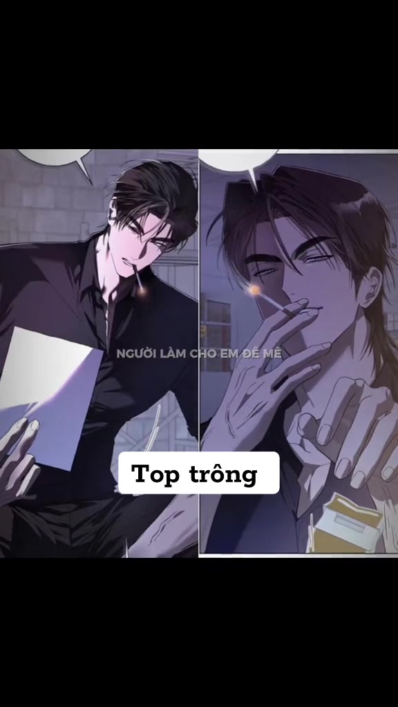 @&bull;Tiger 🐯