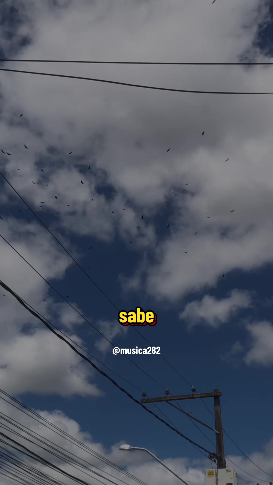 @musica282
