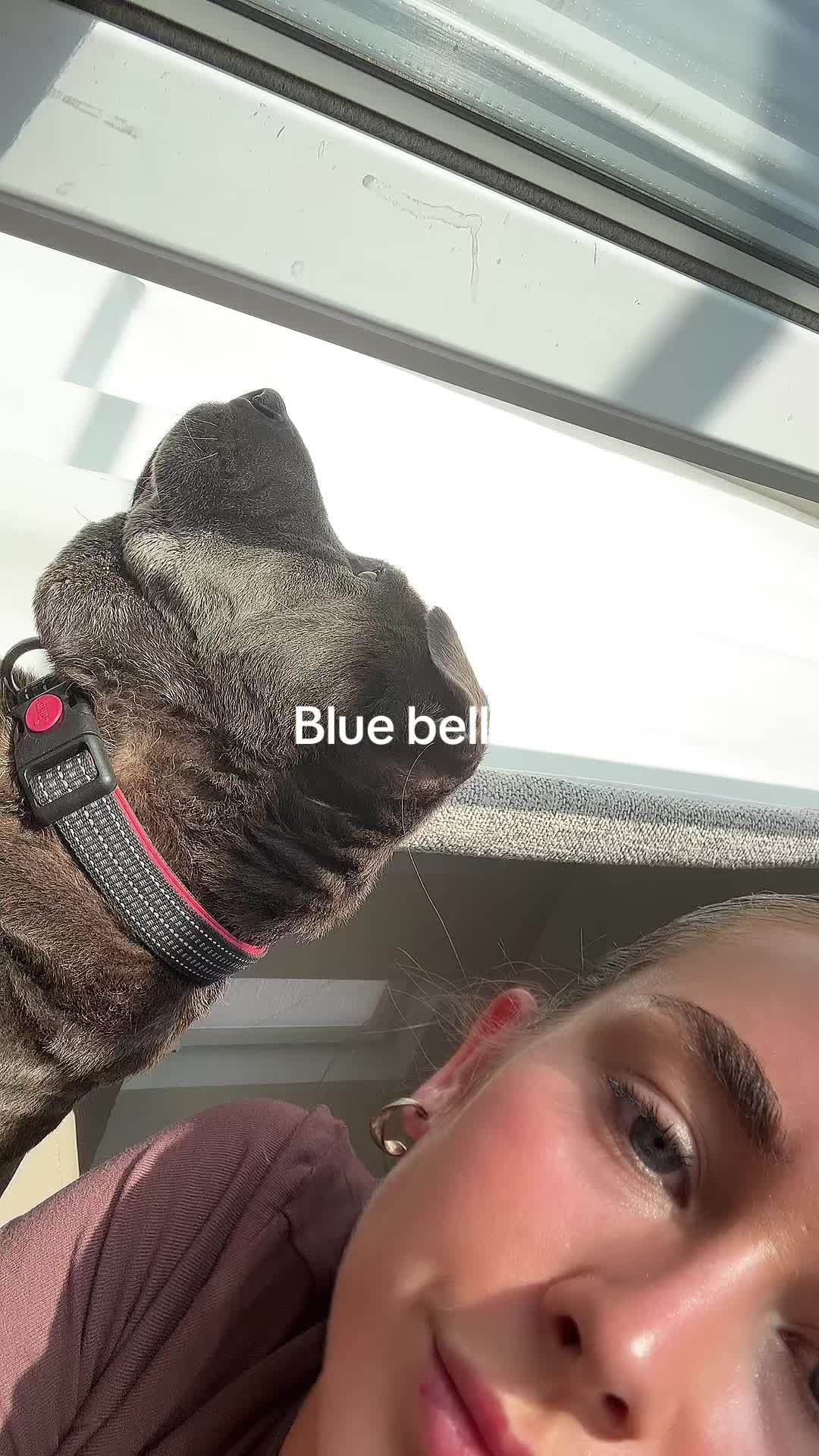 @serahb_