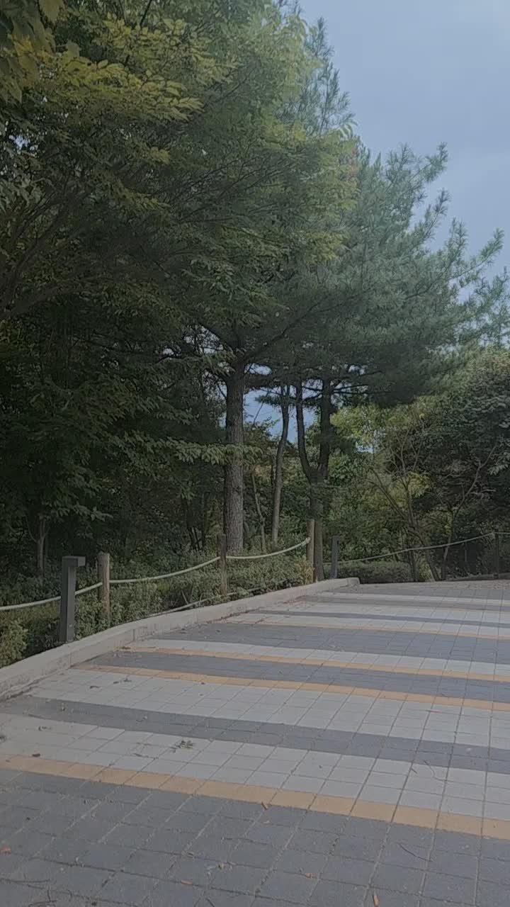@법무사