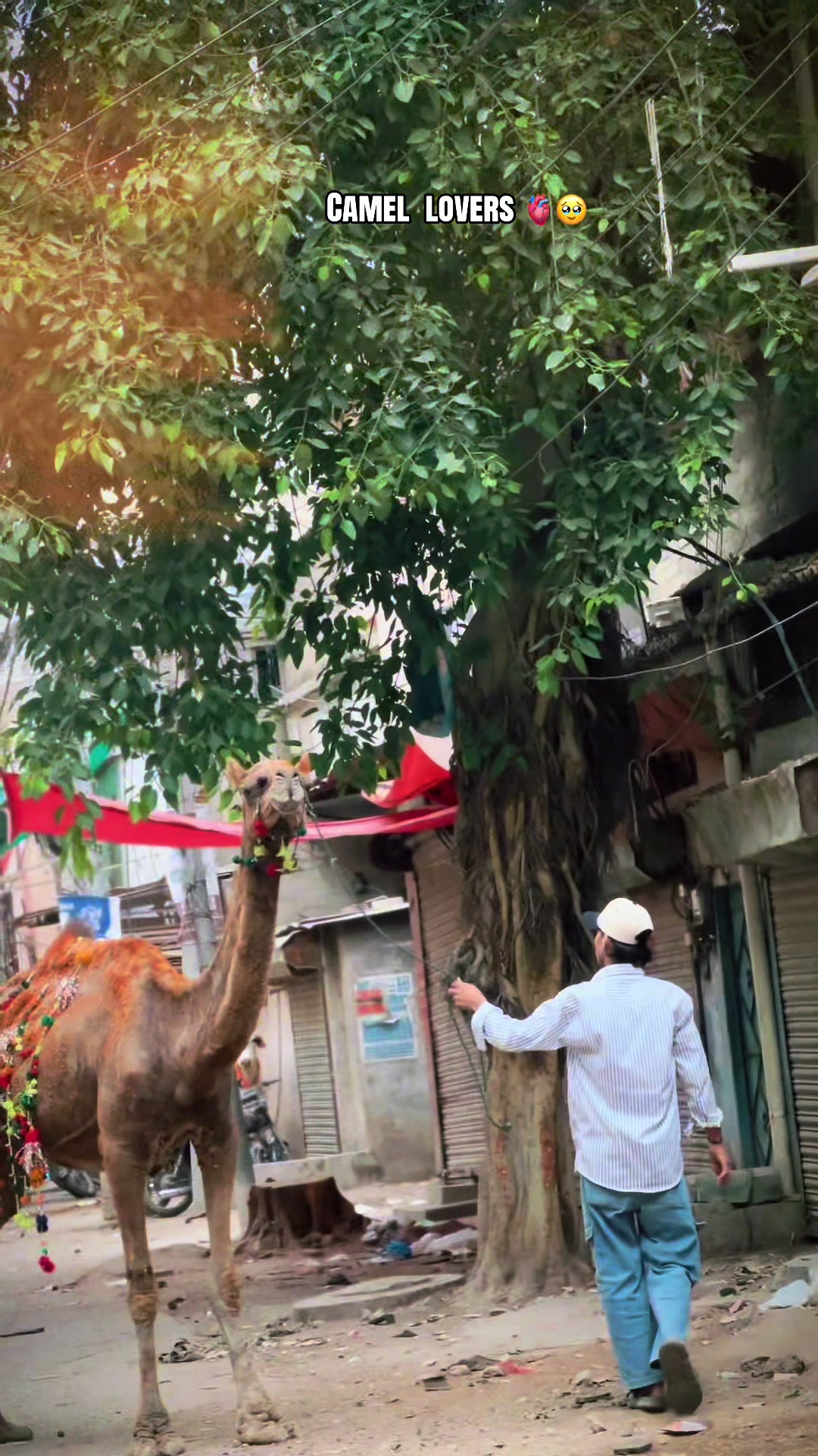 @ع👾