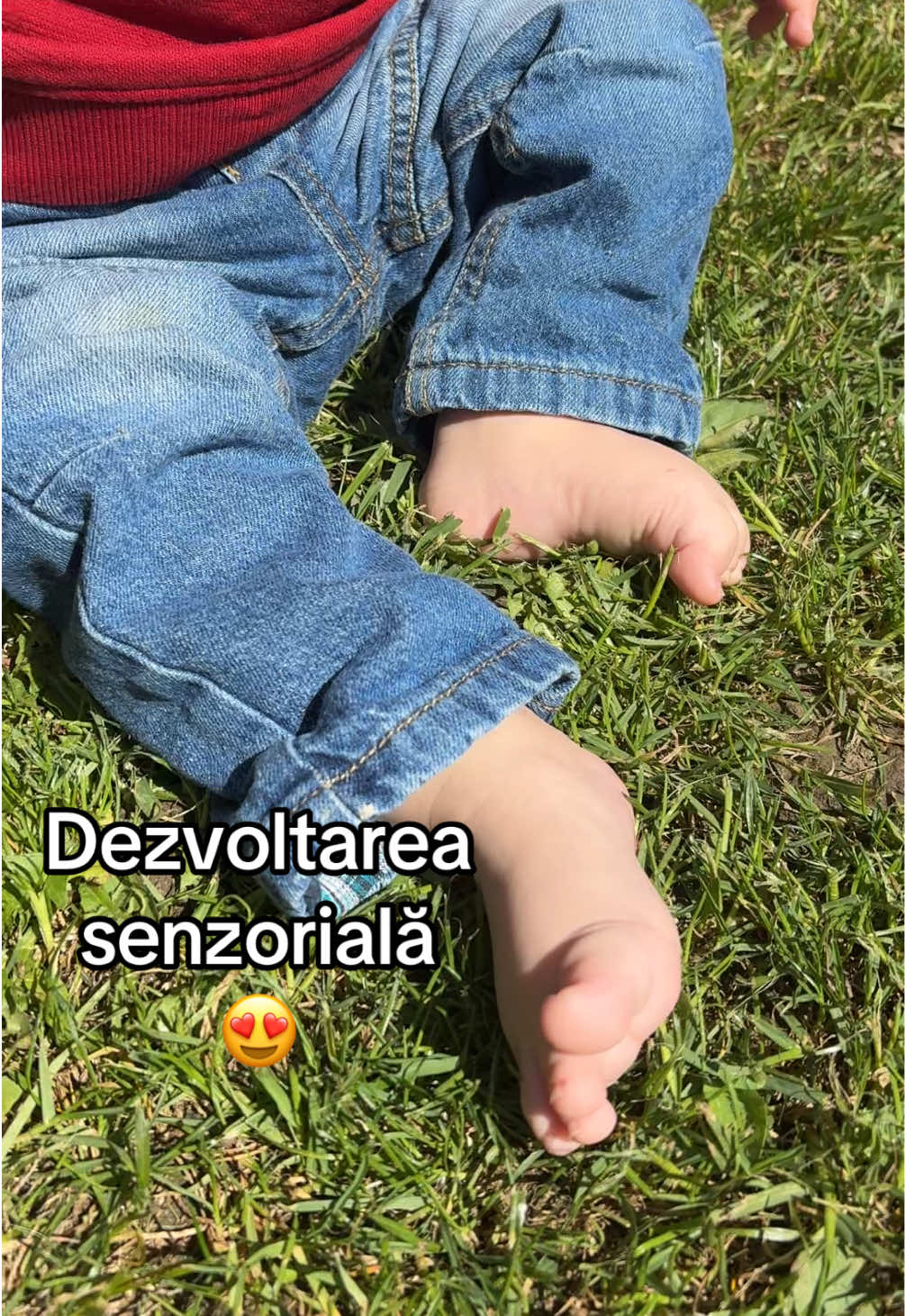 @miha.ela.20.17