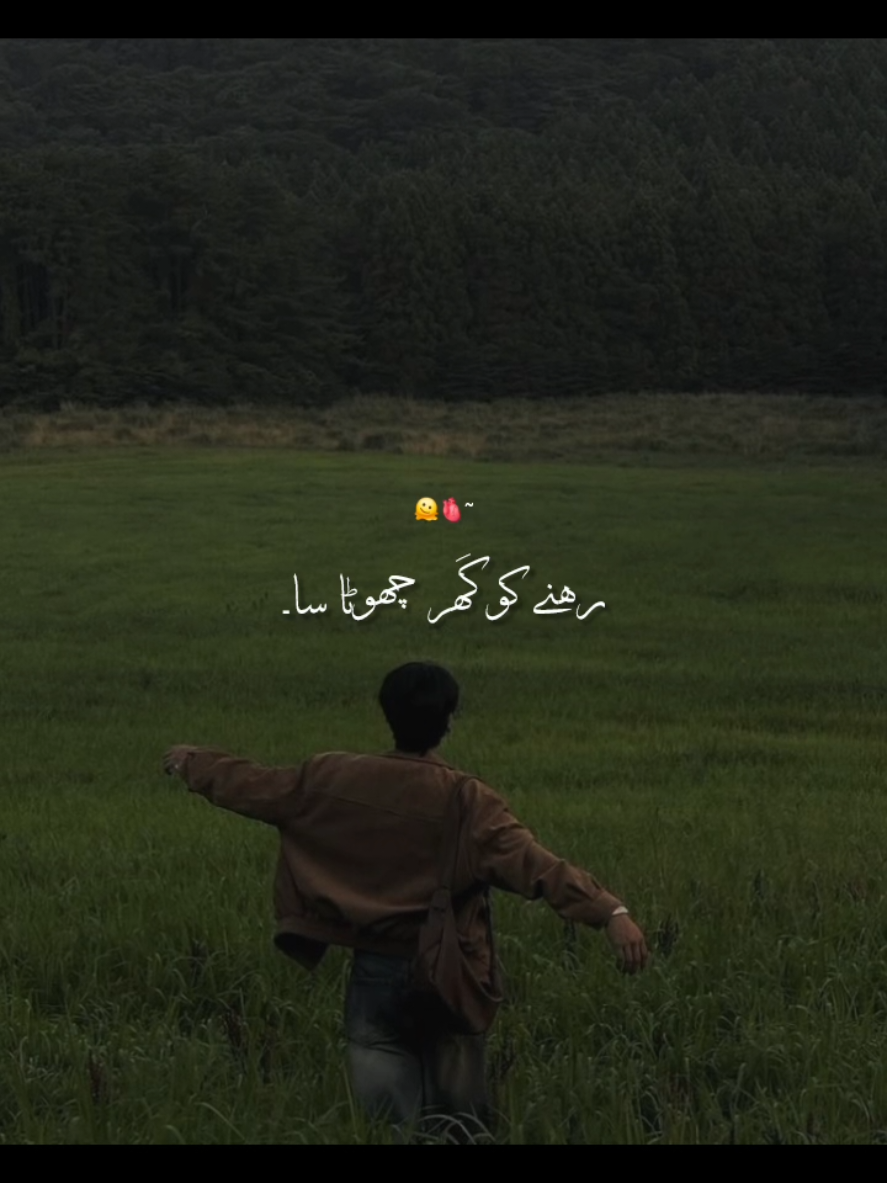 @꧁༺𝙉𝙤𝙩 𝙮𝙤𝙪𝙧 𝘼𝙨𝙖𝙙༻꧂