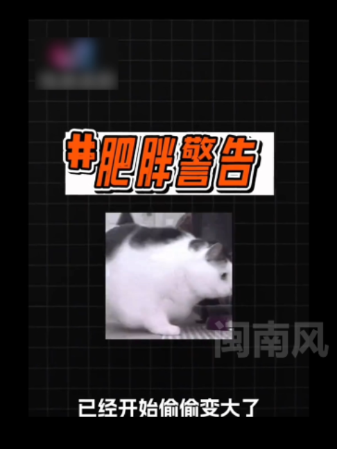 @闽南风~