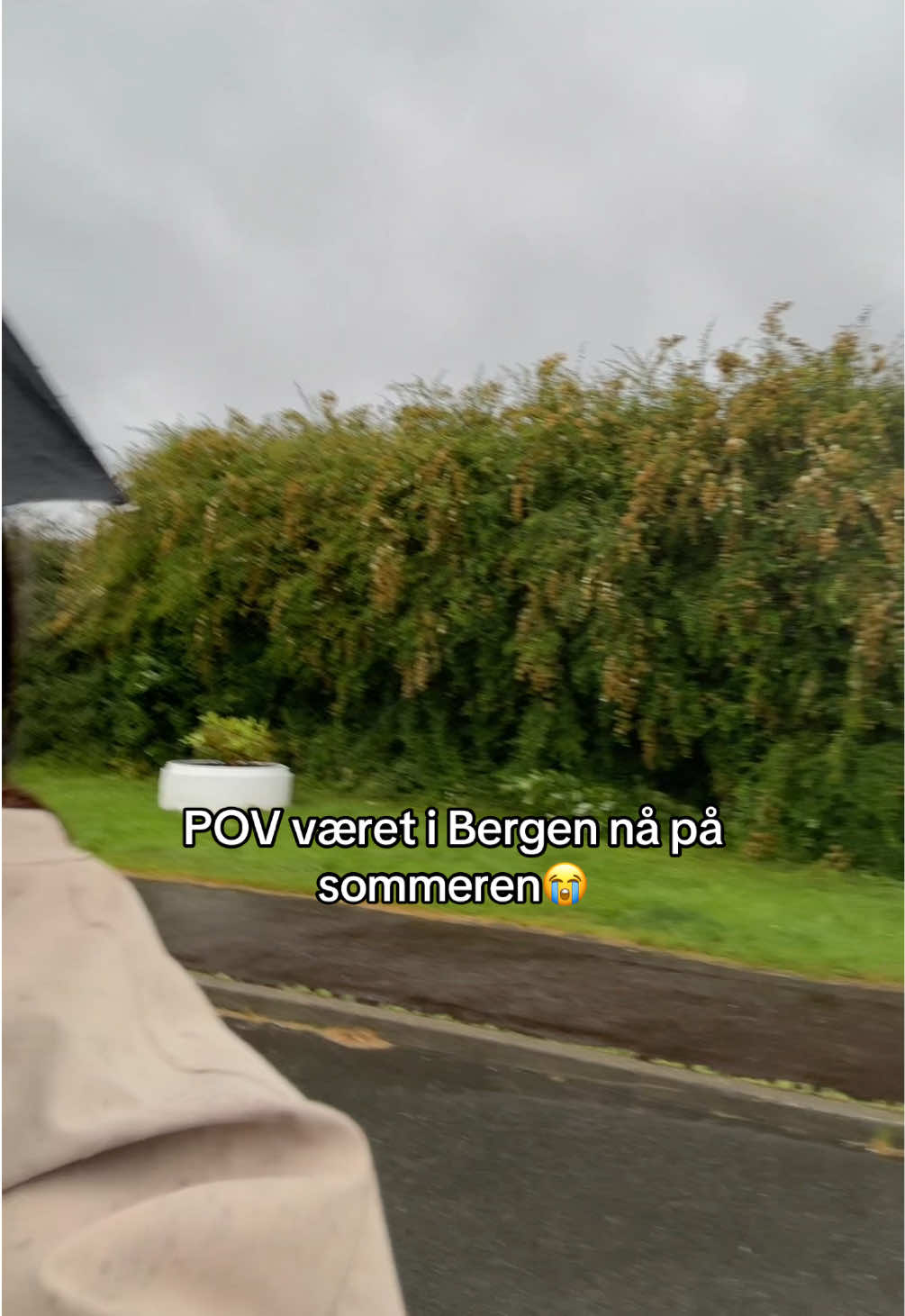 @𝓛ᥫ᭡.