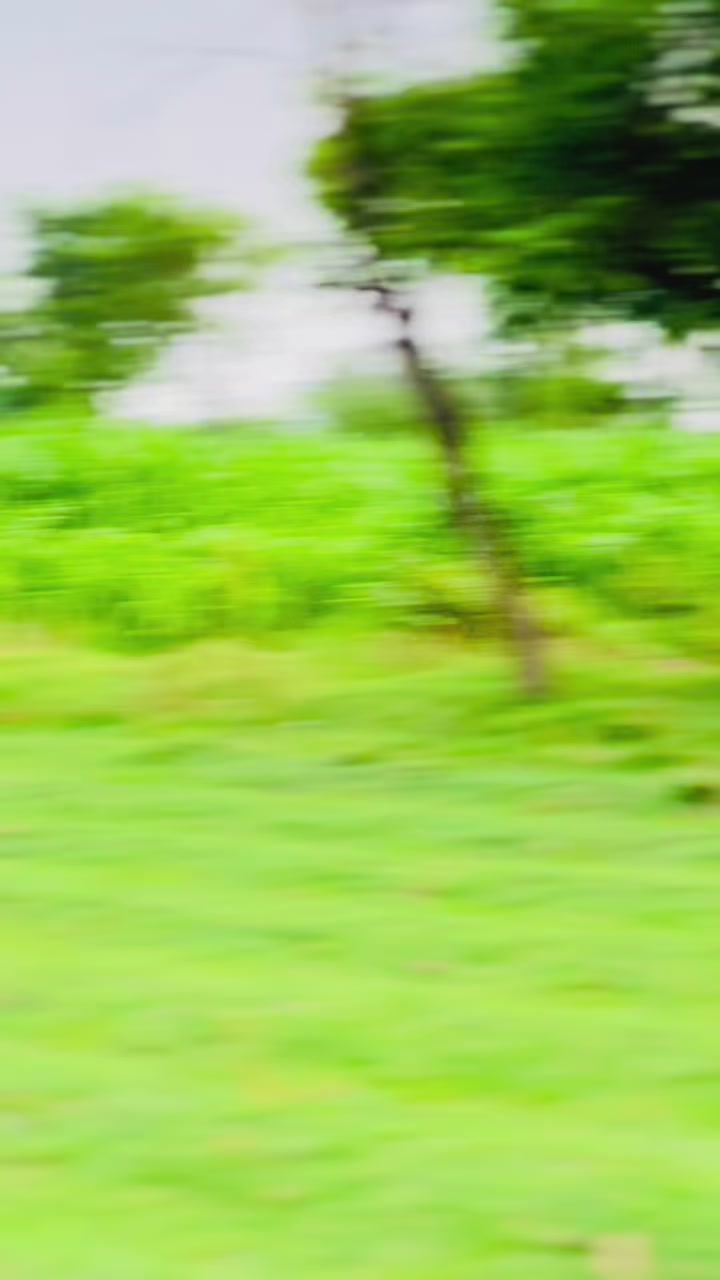 @𝐂𝐇-𝐌𝐔𝐑𝐓𝐀𝐙𝐀 🔥🚩