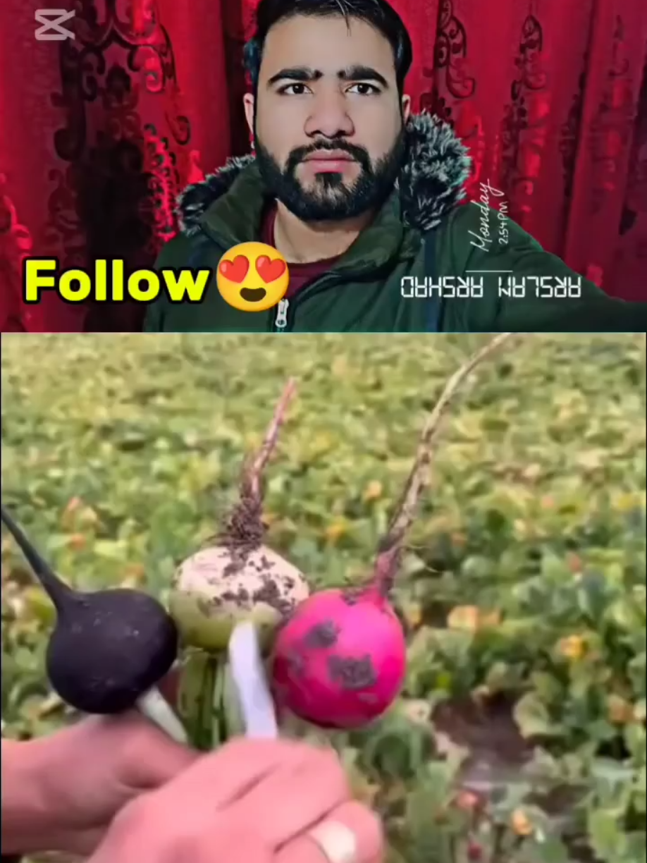 @manoreacts