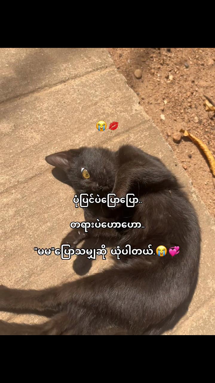 @မောင်နဂါး🐉