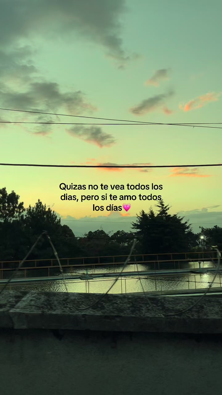 @🧃🪐 viviano Gomez 🧃☘️