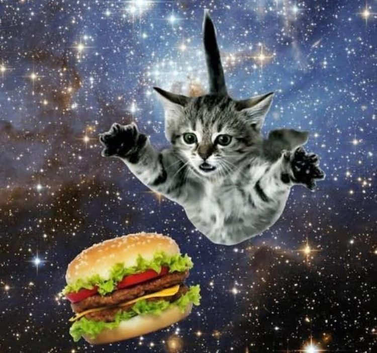 @𝐈𝐛𝐮𝐩𝐫𝐨𝐟𝐞𝐧&lsquo;🫰