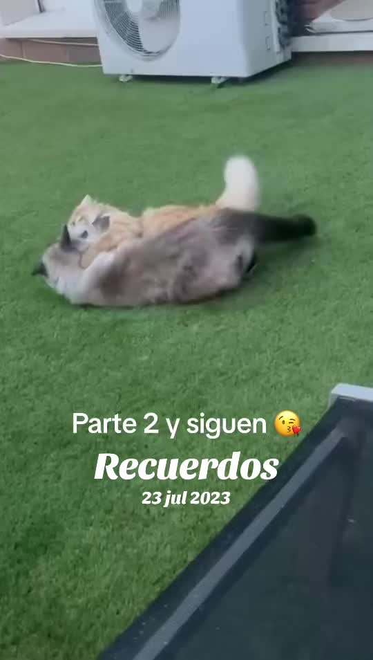 @Ganchito y su tropa