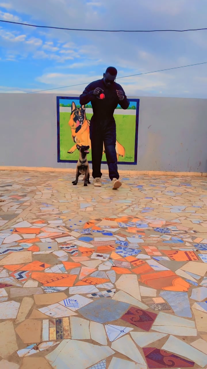 @G.I.C.N 🇸🇳🐾Ma&icirc;tre Weuz🐕&zwj;🦺
