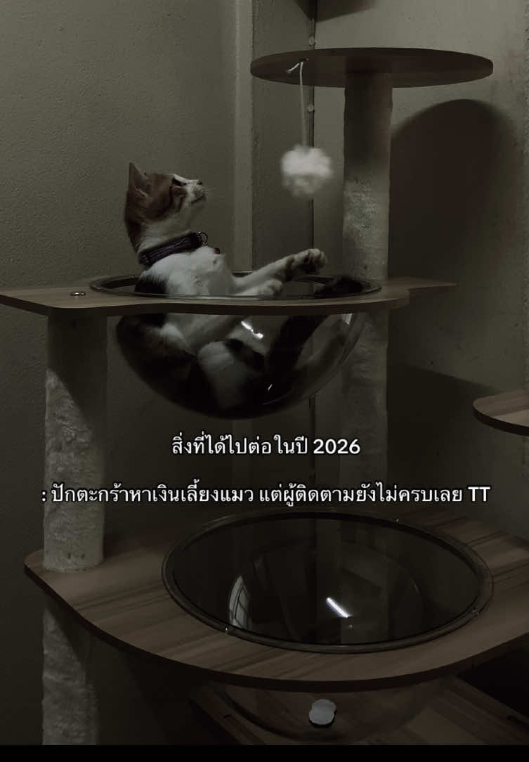 @พีชชี่ชอบกินมัทฉะ🍵