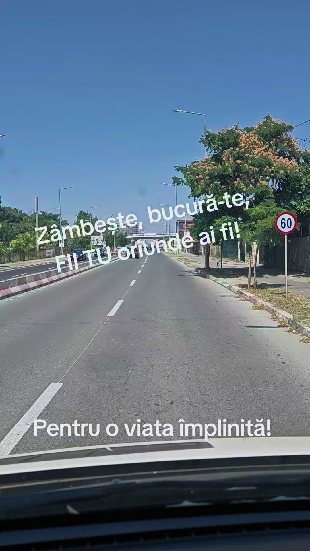 @Theo Strezoiu