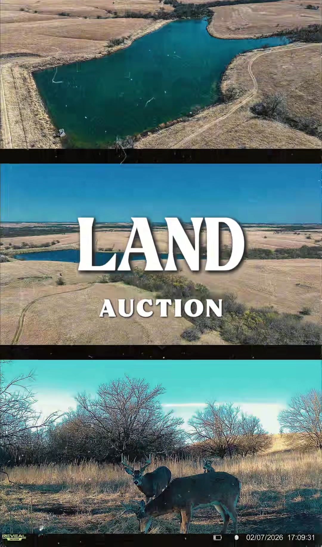 @Sundgren Realty