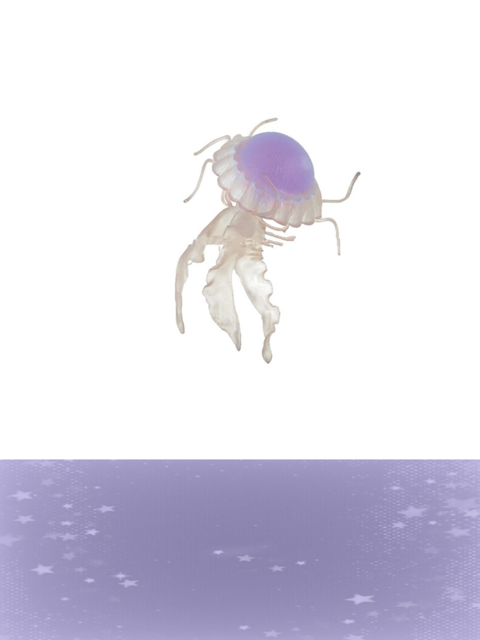 @♯ℰ𝓁 𝒩𝒫𝒞 𝒫𝓇𝒾𝓃𝒸𝒾𝓅𝒶𝓁