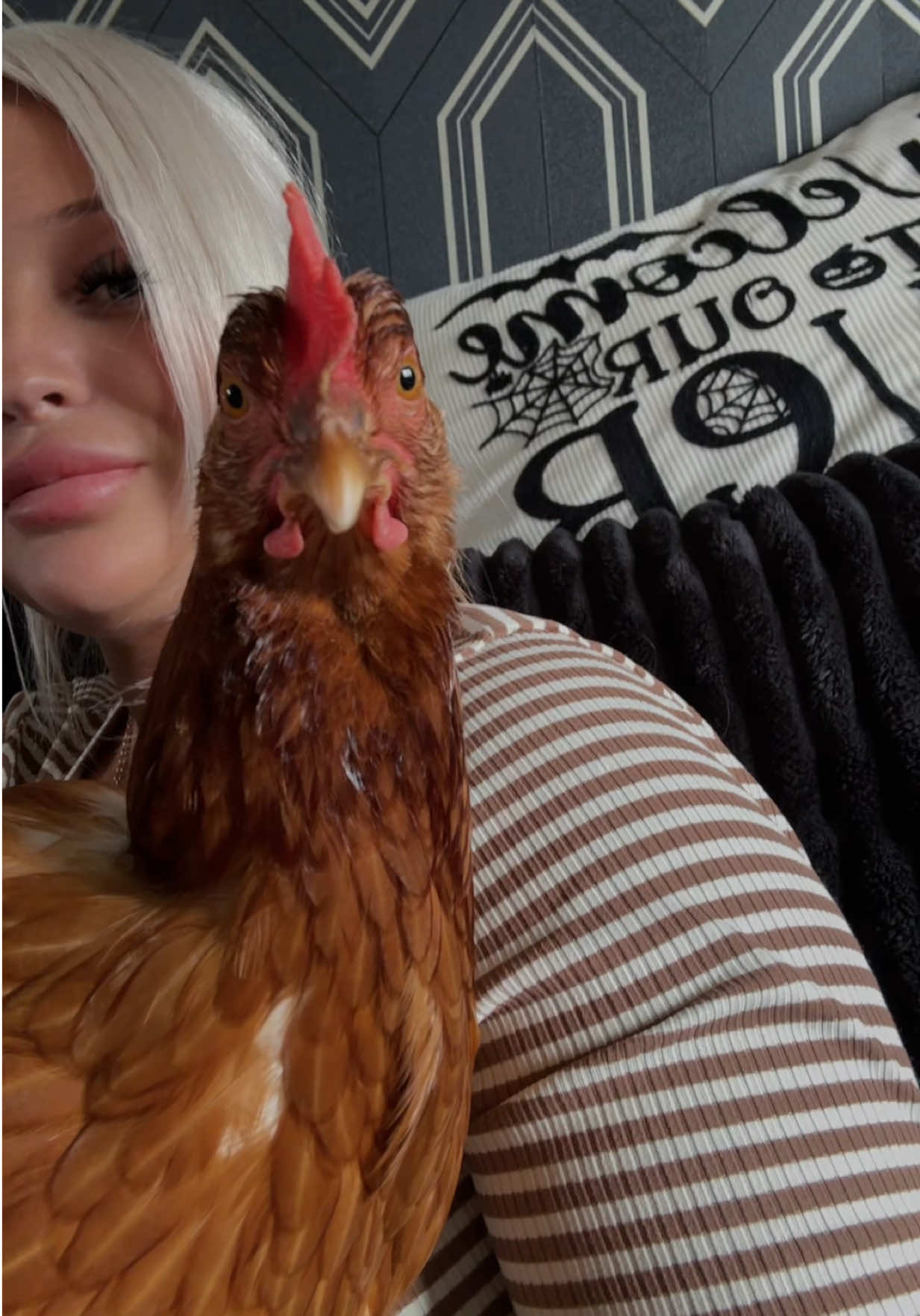 @littlemissinkbox