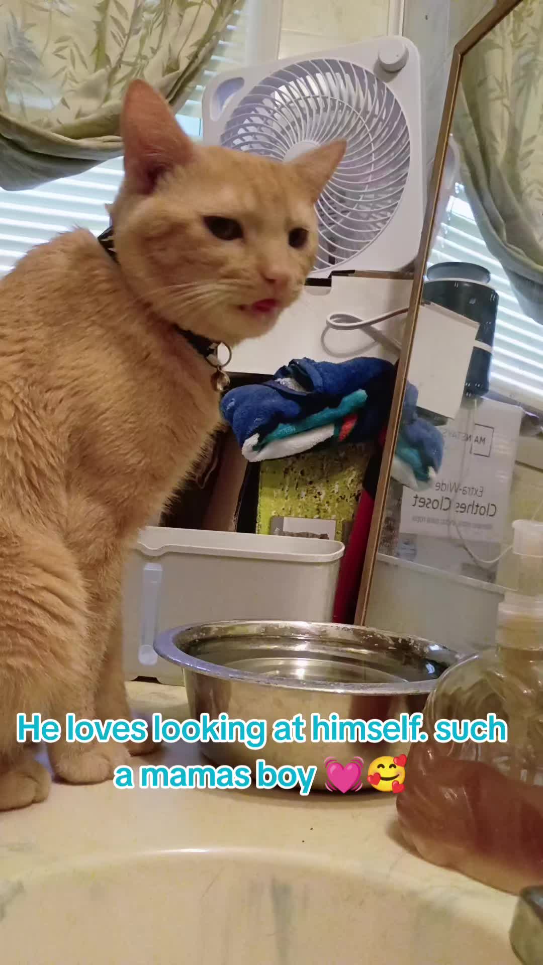 @P&alpha;мɛℓ&alpha; ℓɛɛ