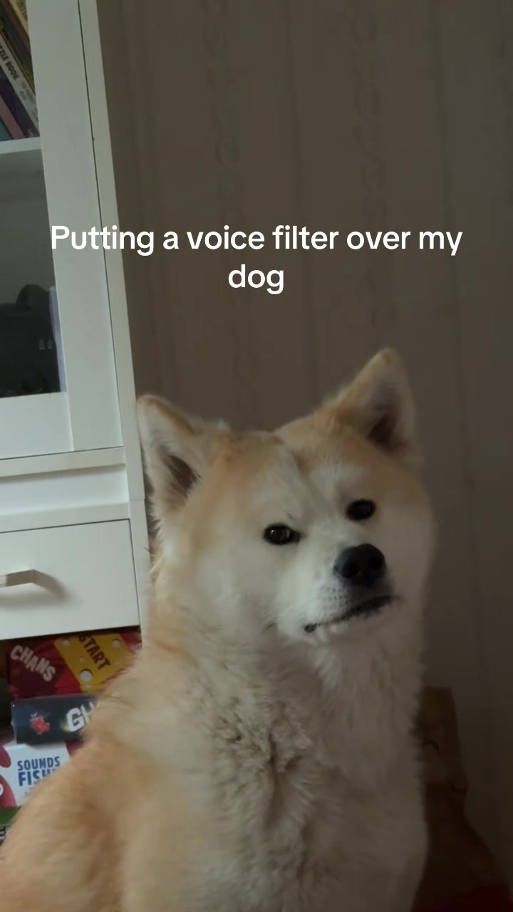 @julipuff8